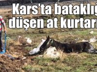 Kars’ta bataklığa düşen at kurtarıldı