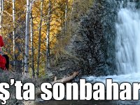 Sarıkamış Ormanları'nda sonbahar güzelliği