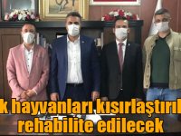 Akyaka’da sahipsiz hayvanlar kısırlaştırılacak ve rehabilite edilecek