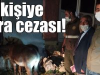 Kars'ta yavru eşeğe eziyet ettikleri ileri sürülen iki kişiye para cezası kesildi