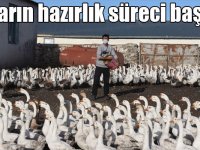 Kışın vazgeçilmez lezzeti kazların sofralara hazırlık süreci başladı