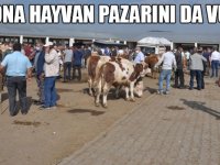 Kars’ta hayvan pazarı 4 gün kapatıldı!