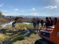 Bataklığa saplanan inek iş makinesiyle kurtarıldı