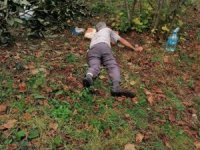 Ağaçtan düşerek yaralandı