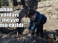 Sarıkamış’ta yaban hayvanları için meyve tohumu ekildi