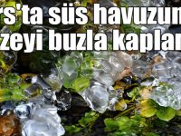 Kars'ta süs havuzunun yüzeyi buzla kaplandı