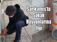 Sarıkamış’ta Sokak Hayvanlarına İlgi