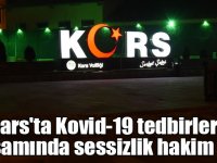 Kars'ta Kovid-19 tedbirleri kapsamında sessizlik hakim oldu