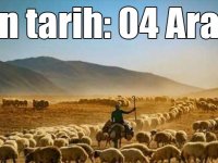 Anaç koyun ve keçi desteklemeleri için son gün 04 Aralık