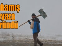 Sarıkamış’ta kar ve sis hayatı olumsuz etkiledi, her yer beyaza büründü