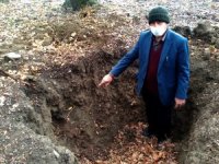Define avcıları 150 yıllık mezarı talan etti