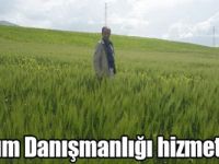 Digor’da Tarım Danışmanlığı hizmetleri