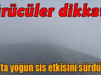 Sürücüler dikkat! Kars'ta yoğun sis etkisini sürdürüyor