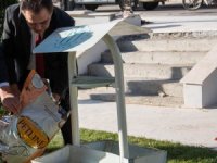 Sokağa çıkma kısıtlamasında sokak hayvanları unutulmadı