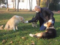 Emniyet Müdürü, sokak hayvanlarını elleriyle besledi