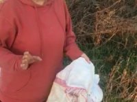 Bunun adı vicdansızlık...12 köpeği canlı canlı çuvala koyup ölüme terk ettiler