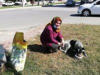 Yenişehirliler köpeklerin canlı canlı ölüme terk edilmesine isyan etti