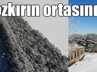 Kars’ta bozkırın ortasındaki vaha havadan görüntülendi