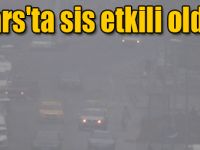 Kars'ta sis etkili oldu!