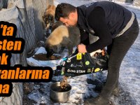 Kars’ta polisten sokak hayvanlarına mama