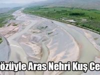Kuş Gözüyle Aras Nehri Kuş Cenneti