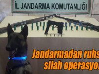 Jandarmadan ruhsatsız silah operasyonu