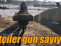 Kars’ta çiftçilerin zorlu kış mesaisi devam ediyor