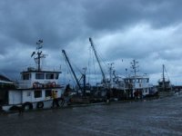Sinop’ta deniz mayını bulundu