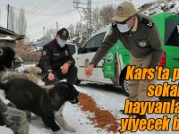 Kars’ta polis, sokak hayvanlarına yiyecek bıraktı