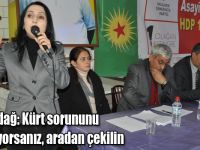 Yüksekdağ: Kürt sorununu çözemiyorsanız, aradan çekilin