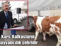 Arslan: Kars, Kafkasların tarım hayvancılık şehridir