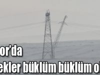 Digor’da direkler büklüm büklüm oldu