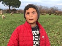 12 yaşındaki küçük çoban videolarındaki diyalogları ile sosyal medyanın yeni fenomeni oldu