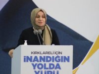 Ak Parti Genel Başkan Yardımcısı Usta Kıklareli’de