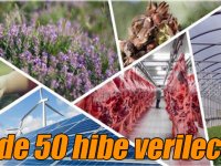 Yüzde 50 hibe verilecek!