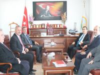 ŞAP'la Mücadele Eylem Planı Uygulanıyor