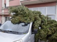Burdur’da şiddetli fırtına