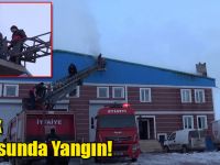Tavuk Deposunda Yangın!