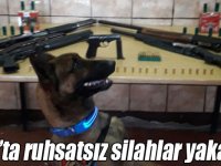 Kars’ta ruhsatsız silahlar yakalandı
