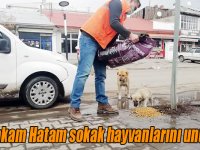 Kaymakam Hatam sokak hayvanlarını unutmadı
