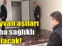 Hayvan aşıları daha sağlıklı olacak!