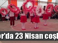 Digor'da 23 Nisan coşkusu