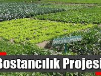 Bostancılık Projesi!