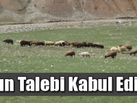 Onun Talebi Kabul Edildi!