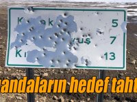 Kars’ta, tabelalar magandaların hedef tahtası oldu