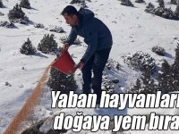Kars’ta yaban hayvanları için doğaya yem bırakıldı