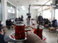 Düşük riskli Bingöl’de “Yeni Kontrollü Normalleşme Süreci” başladı