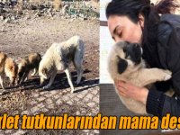 Bisiklet tutkunlarından can dostlarına mama desteği