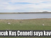 Kuyucuk Kuş Cenneti suya kavuştu
