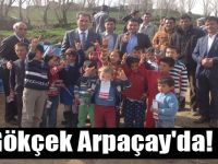 Gökçek Arpaçay'da!